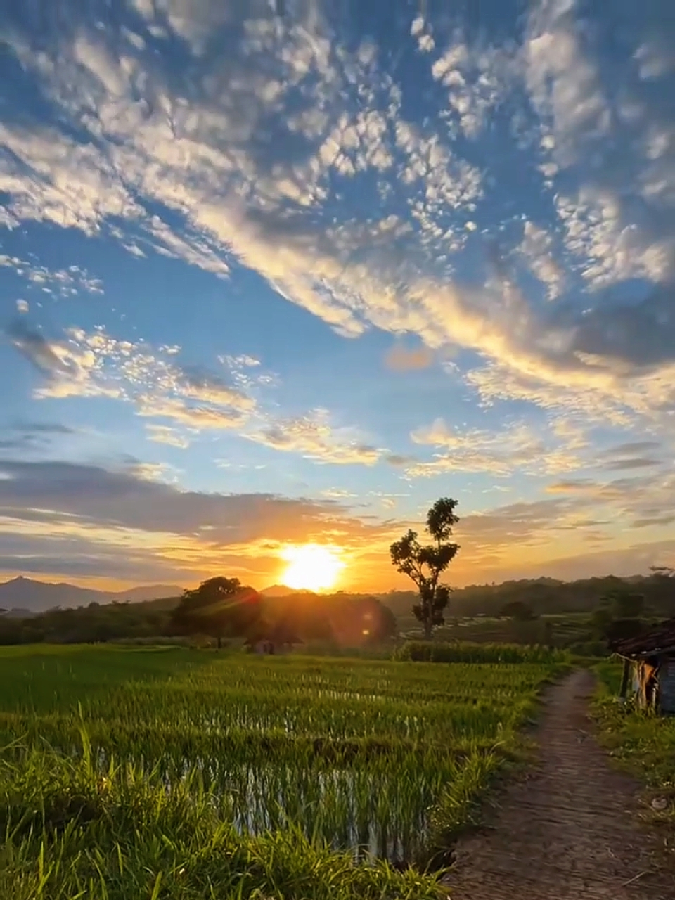 siaran langsung foto