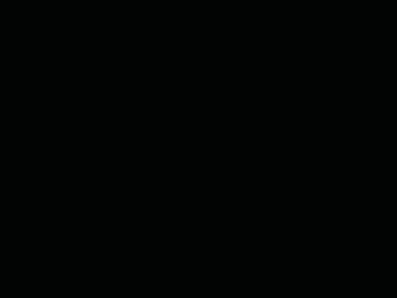 Syla’s edit comp!