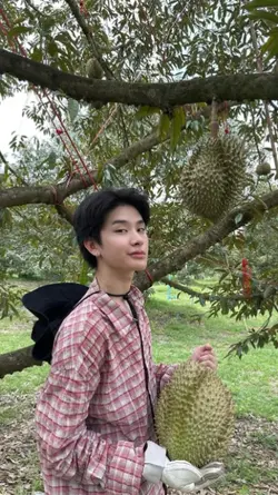 หนุ่มสวนทุเรียน