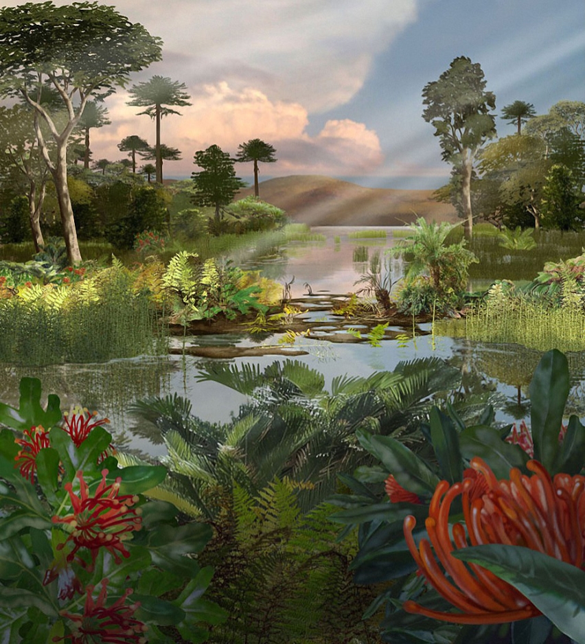 Cover Picture