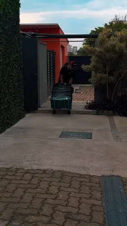 Manutenção 