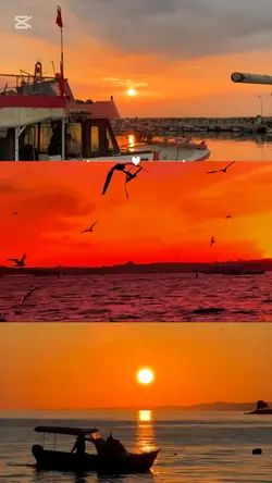 trend şablon