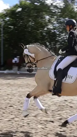 LIFE WHEN IM OFFLINE