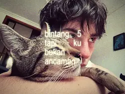 bintang 5 