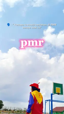 pmr