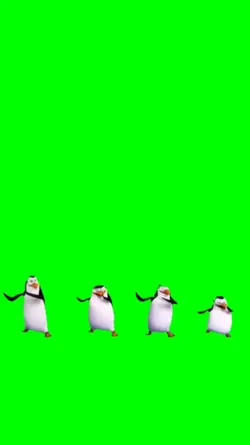 Penguin Dancing
