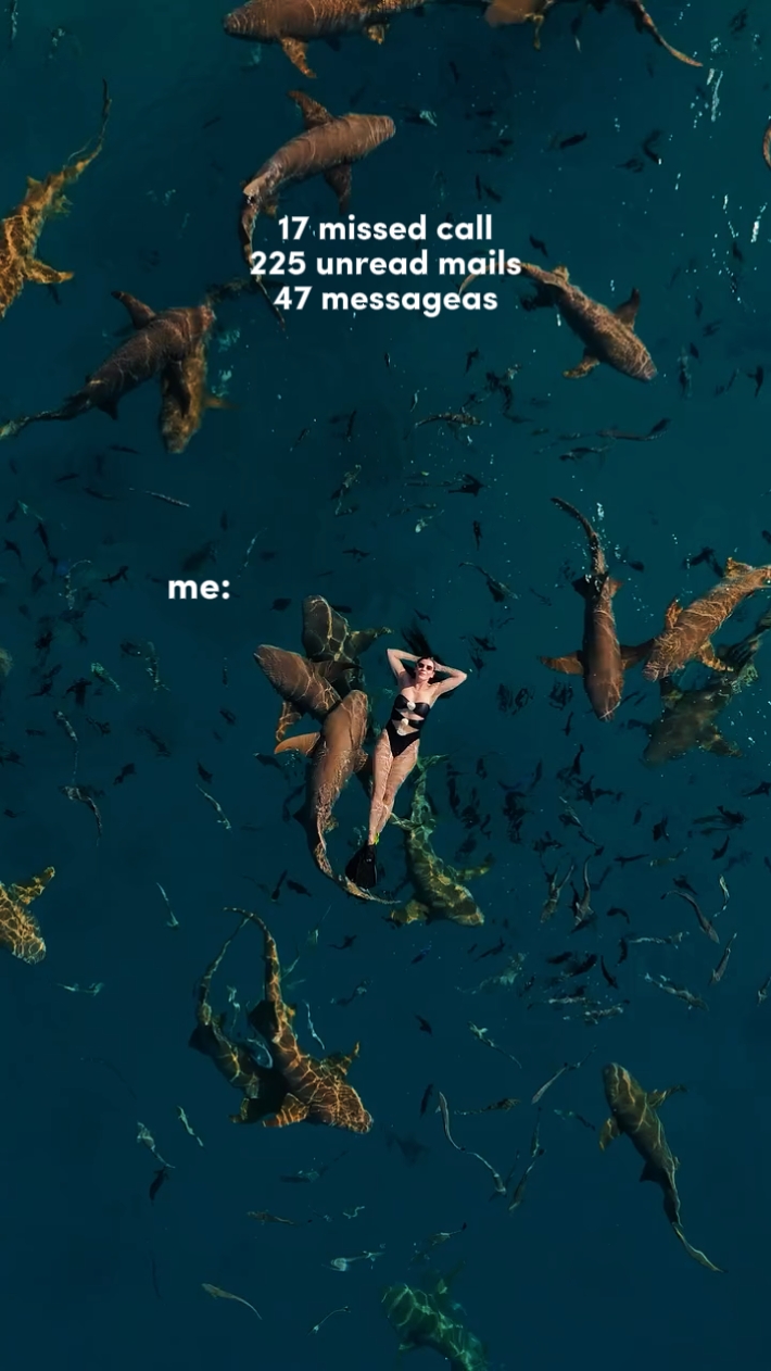 17 missed call 