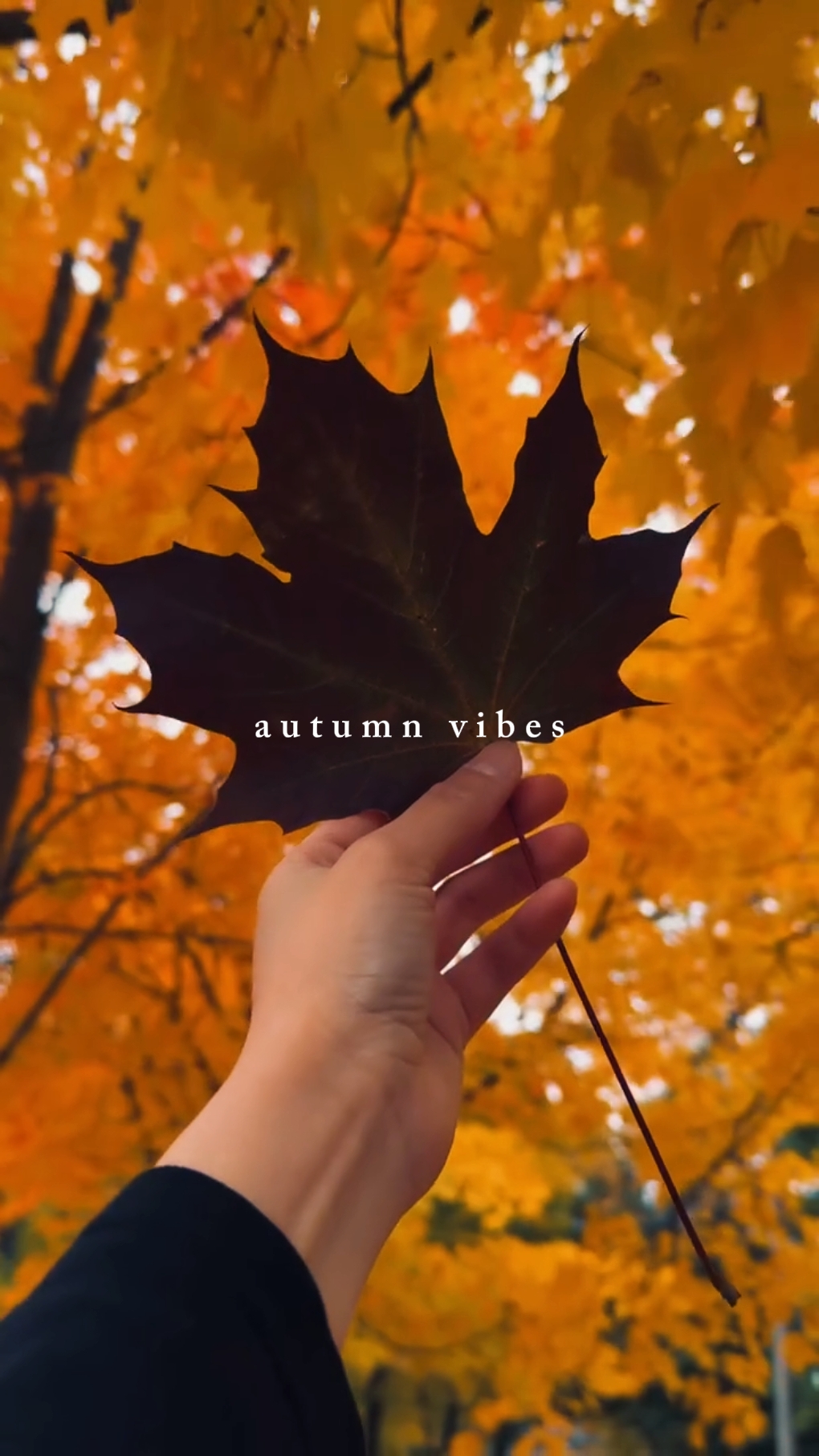 Herbststimmung.