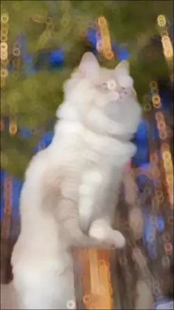 full slowmotion 