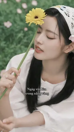 VỀ MIỀN CỎ HOA