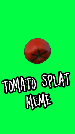 THROWN TOMATO SPLAT