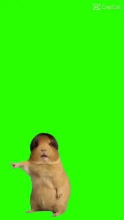 หนู