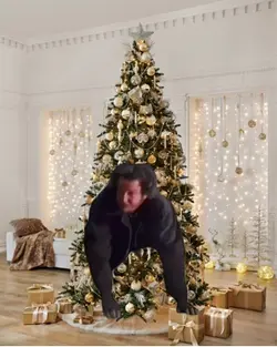 Christmas meme 