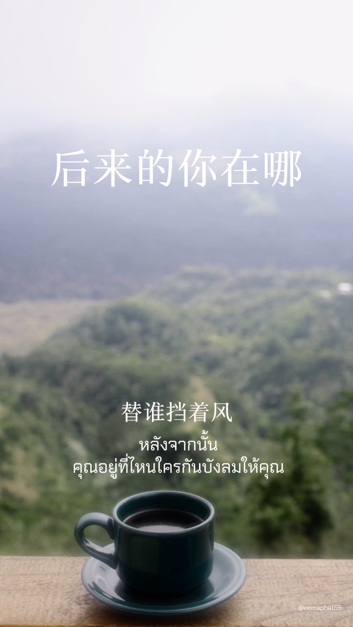 后来的你在哪 เพลงจีน