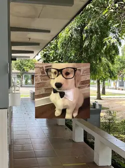 เด็กเรียนคณะสาขาอะไร