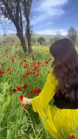 yeni