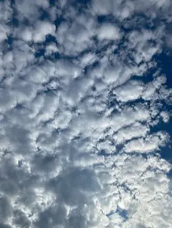 Coloque sua mensagem