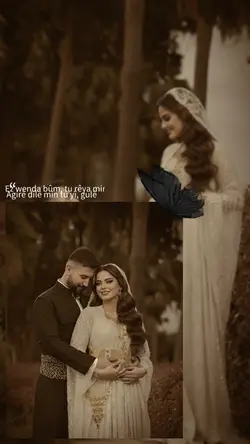 agire dılemın tu yi 