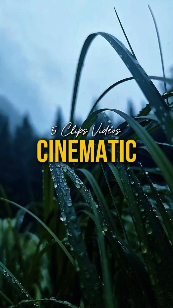 Cinematic 5 Videos 