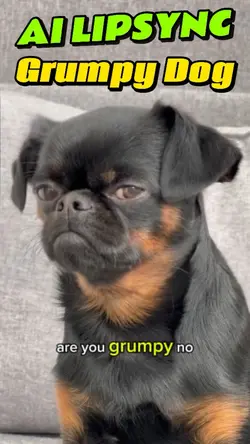 AI Grumpy Dog