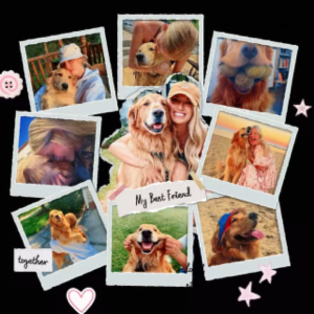 I love my dog