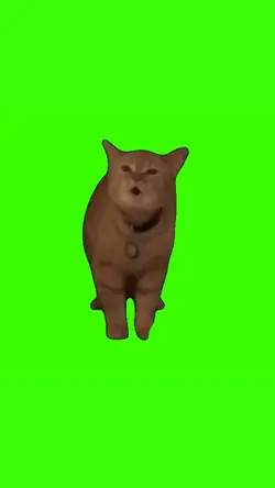 i go meoww trending
