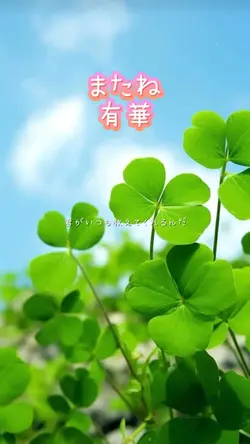またね/有華