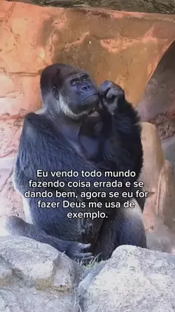 Bem assim kkk
