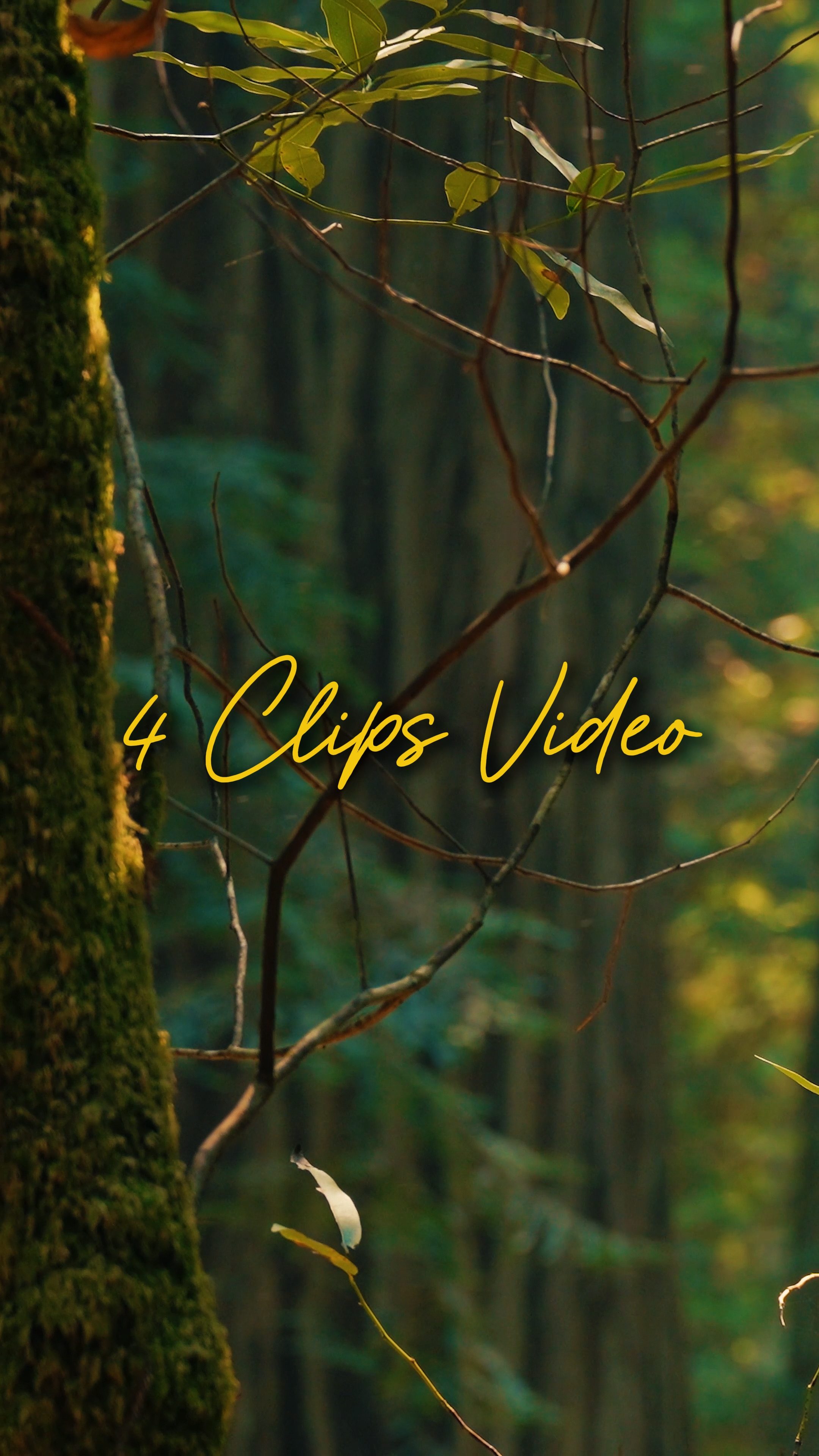 Vídeo Cinematográfico 4