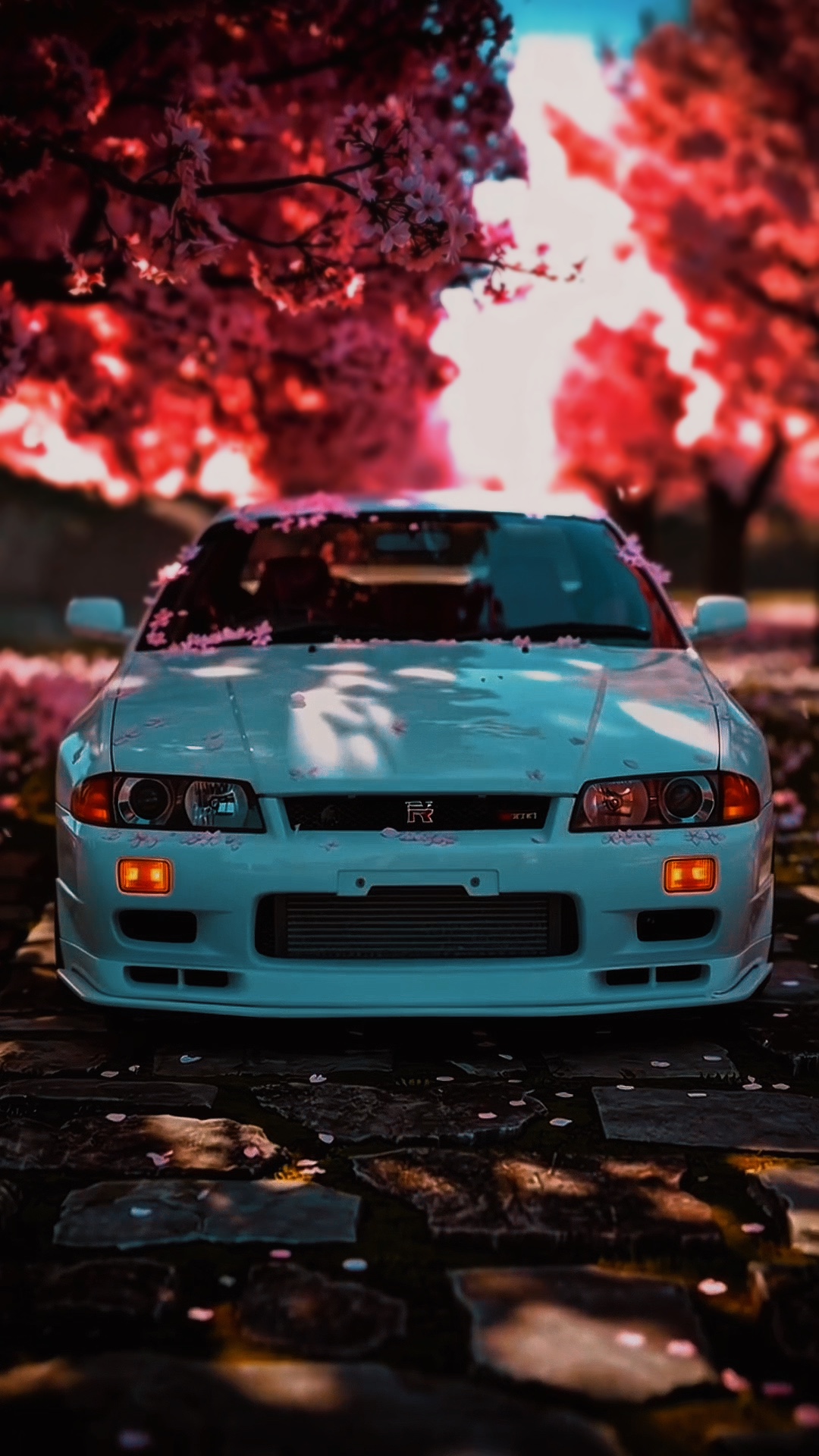 MODELO-MODELO Phonk 🔥