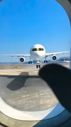 Vacation Fly