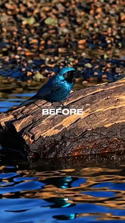 Before after
