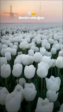 Bana baktığın zamann