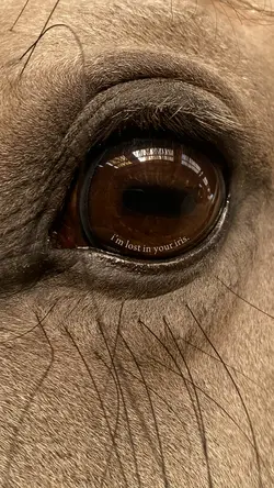 LOST IN HIS IRIS. 💫😻