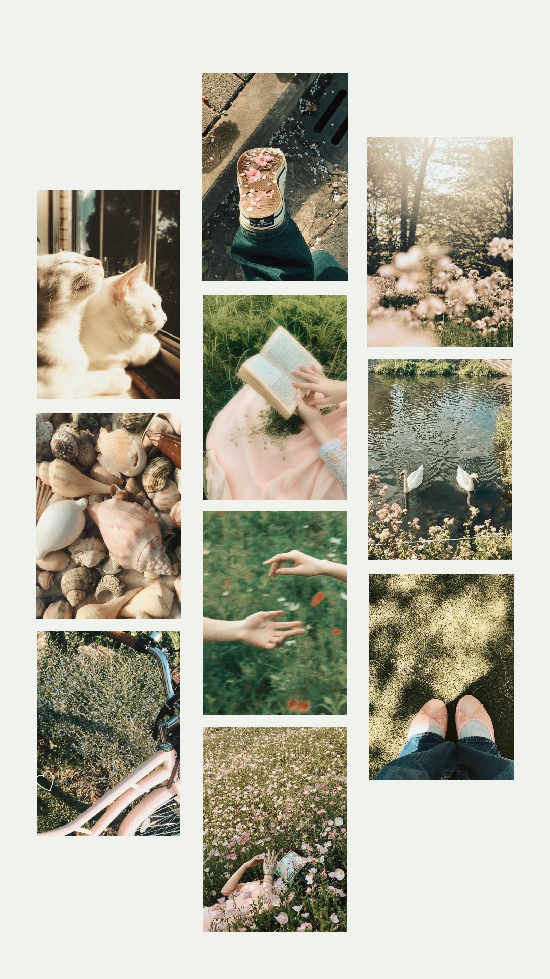Collage foto