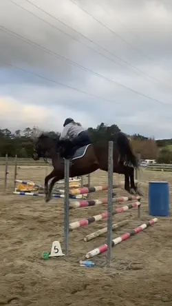 Aaliyah_ShowJumping