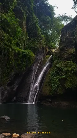 ulang tahun