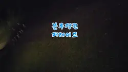 #블루펭귄