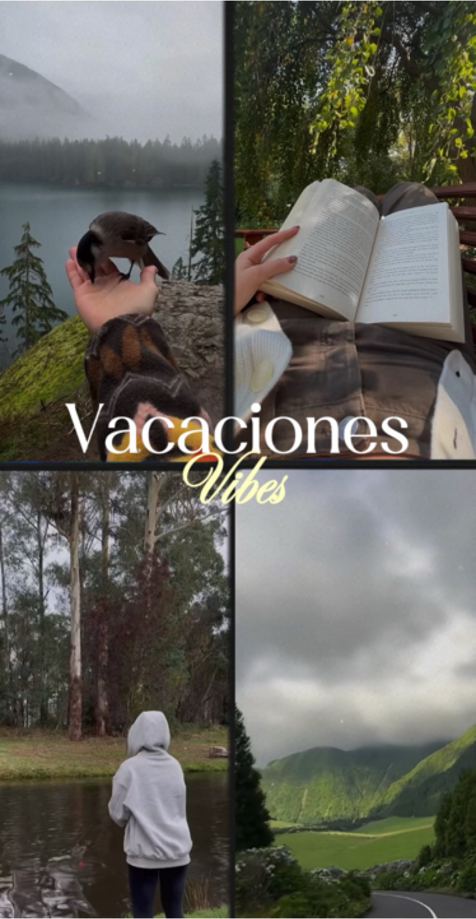 Urlaube-Vibes