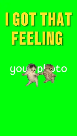 CATS I GOT THAT FEEL