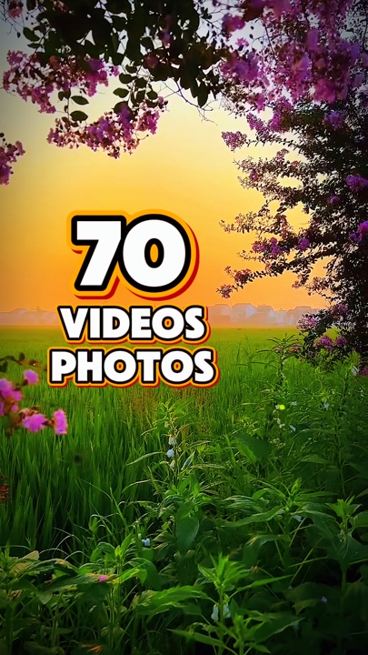 70 videos or photos 