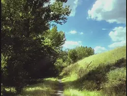 aesthetic digicam