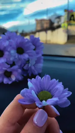 Slowmotion video 🌸