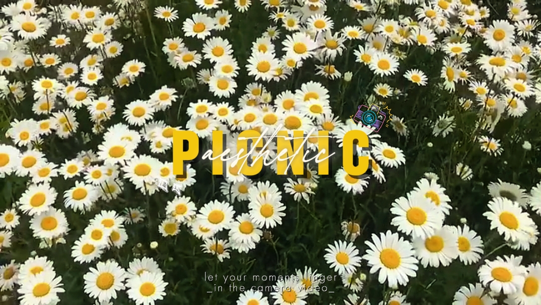 picnic Vlog