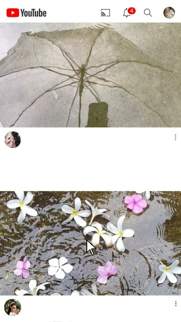 Rainy Day 