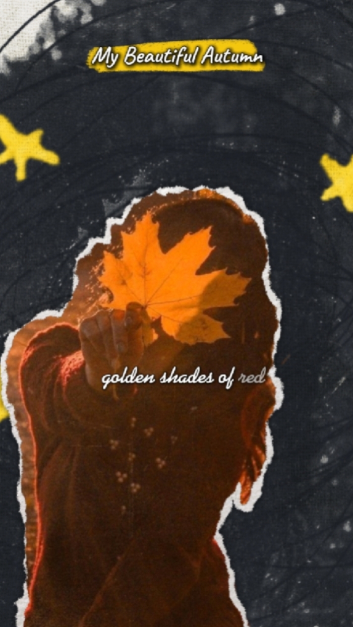 My Beautiful Autumn 