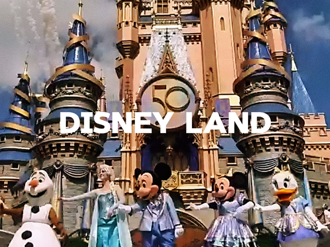 DISNEYLAND VLOG
