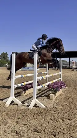 Showjumping😍FAKE/AI⚠️