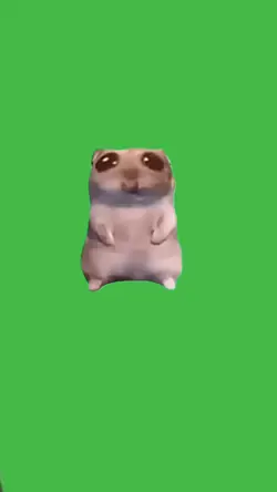 Hamster meme