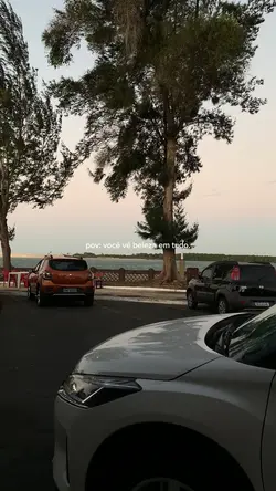 vc vê beleza em tudo